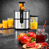 Storcător de Fructe și Legume Haley HY-2963, 1000W, Tub Alimentare 75 mm, Recipient Suc 900 ml, Recipient Pulpă 2 L, 2 Viteze + Pulse, Inox SUS304