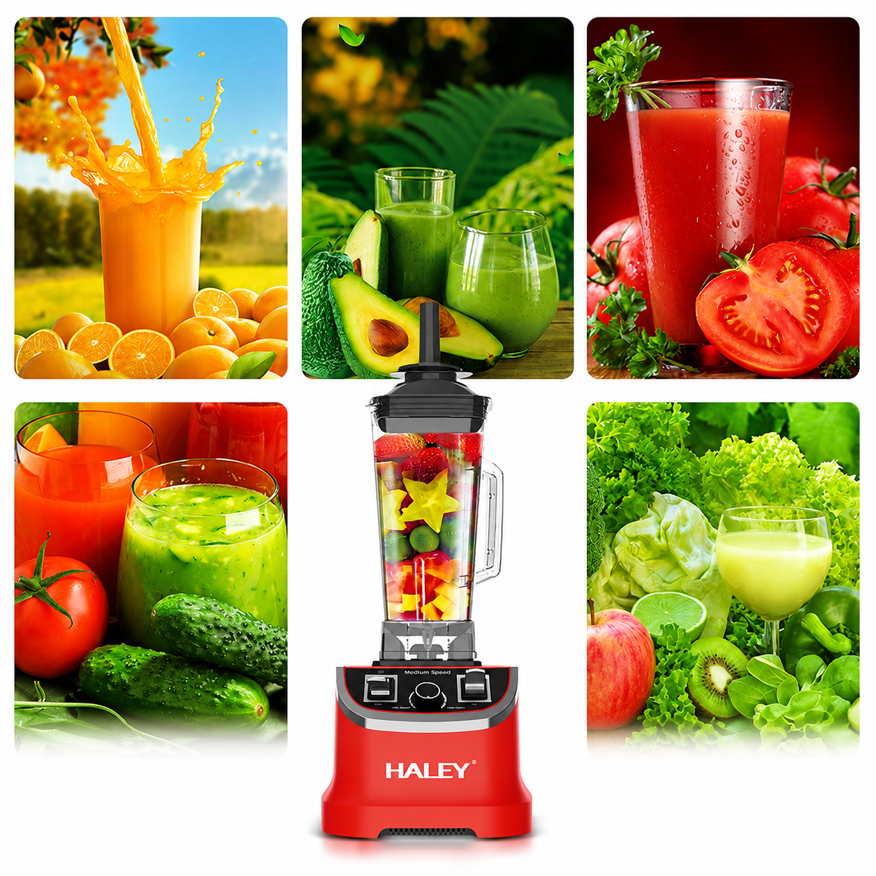 Blender Profesional Multifuncțional HALEY HY-2705, 4800W, Cană 2.5L, 15 Trepte de Viteză, Funcție Pulse, Zdrobire Gheață, Lame din Inox