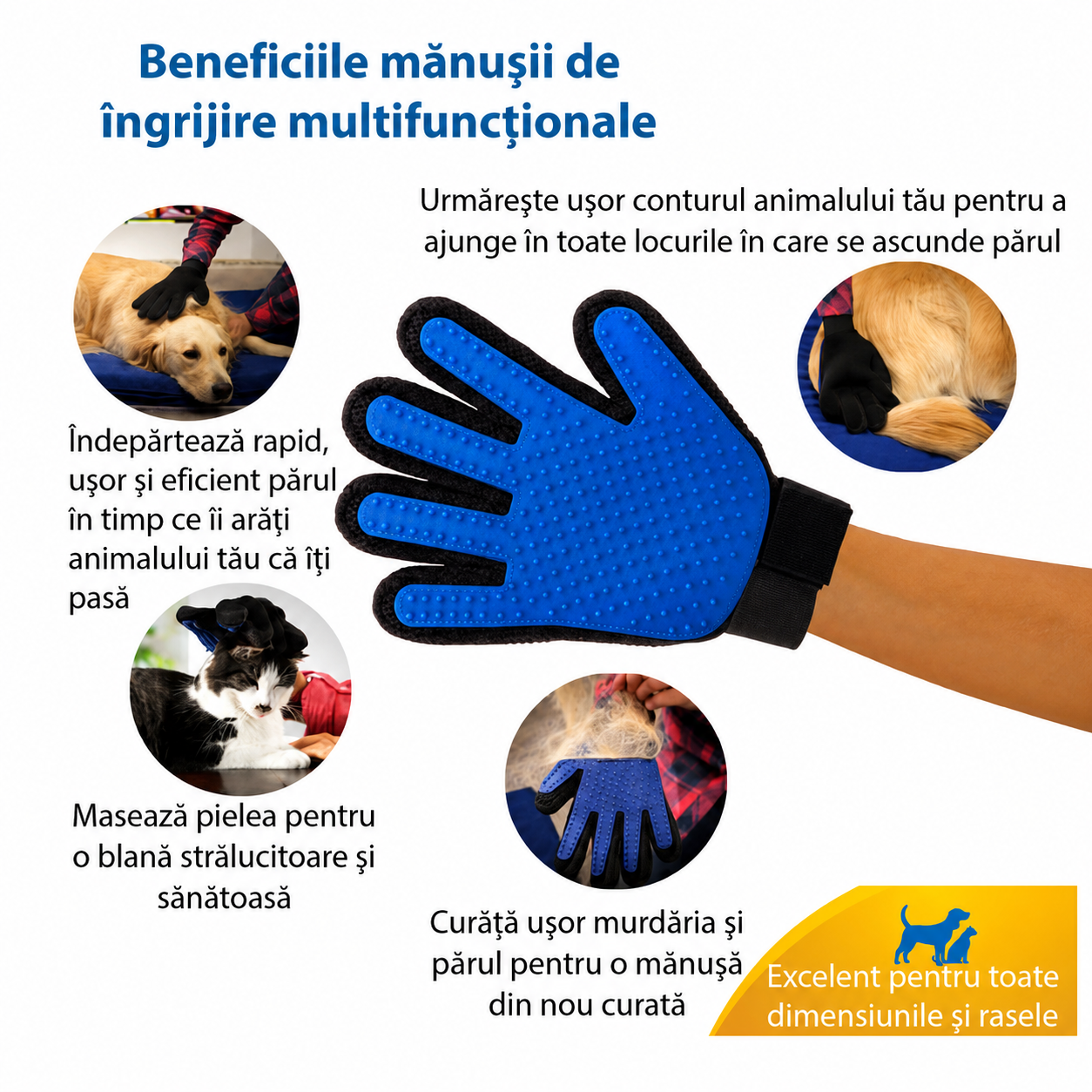Manusa-perie de ingrijire caini, pisici si alte animale de companie, At Performance, pentru mana dreapta, Albastru cu negru